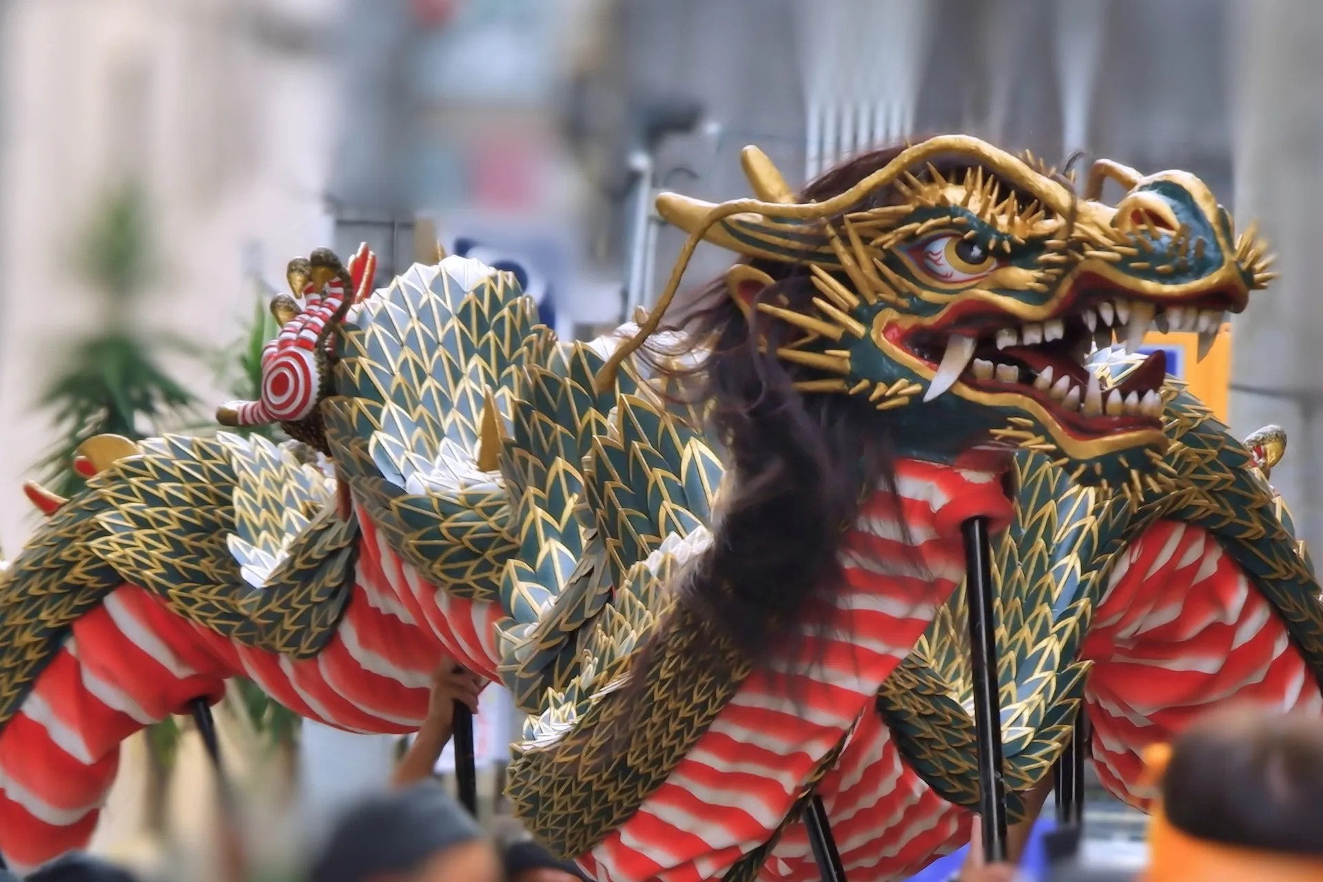 龍踊の龍